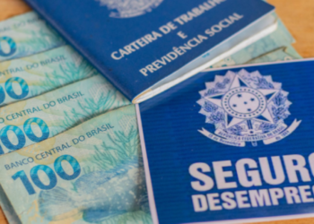 100% ONLINE: Veja o passo a passo para dar entrada no Seguro-Desemprego sem precisar sair de casa!