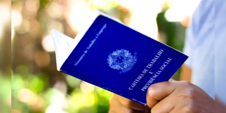Emprego com carteira assinada cresce no Brasil; veja os números atuais