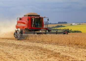 Safra de grãos brasileira deve superar 300 milhões de toneladas em 2024