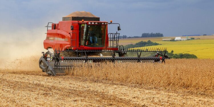 Safra de grãos brasileira deve superar 300 milhões de toneladas em 2024