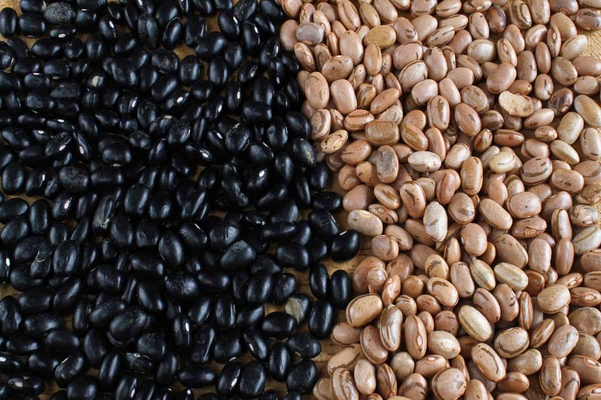 Feijão dos tipos preto e carioca fica mais caro em fevereiro em todas as capitais