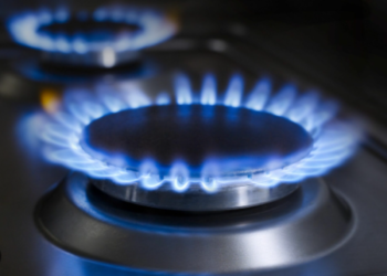 Consulta ao Auxílio-Gás em 2024: veja as datas, valores e mais usando seu CPF