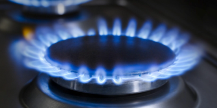 Consulta ao Auxílio-Gás em 2024: veja as datas, valores e mais usando seu CPF