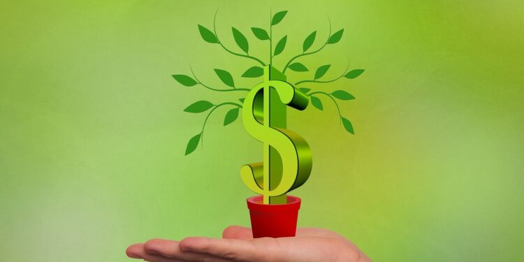 Veja como conseguir cashback de até 20% no Banco Inter