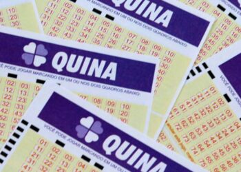 QUINA 6.500: Veja o resultado do concurso de hoje (06/08)