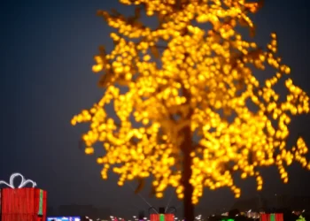 Trabalhar no feriado garante ao empregado a remuneração em dobro, conforme a legislação. Imagem: Agência Brasil