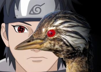 Ave Brasileira com o “Sharingan da Vida Real” Quebrou a Internet!